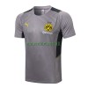 BVB Borussia Dortmund Maillot d'Entraînement 22-23 Gris Clair Pour Homme